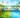 Why Is Pool Water Green? Causes and Fixes