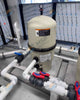 Clean & Clear Plus Cartridge Filter