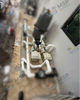 Pentair WhisperFloXF 5 HP 3-Phase & Single Phase Pool Pump 022035
