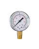 1/4" MPT Pressure Gage with Indicator