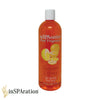 Pool Fragrance 16oz