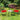 ff29c1a8f134a5aa74574bfa6e09108f