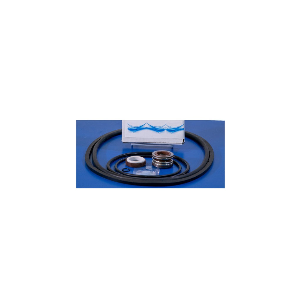 Pentair EQ Series® Seal Kit   GO-KIT1001C - square crop
