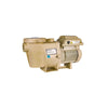 Pentair WhisperFlo® VST 2.6 HP Variable Speed Pump 115/208-230V - square crop